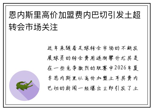 恩内斯里高价加盟费内巴切引发土超转会市场关注