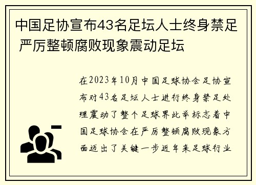 中国足协宣布43名足坛人士终身禁足 严厉整顿腐败现象震动足坛